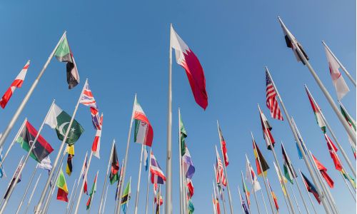 Translation & Interpreter Services